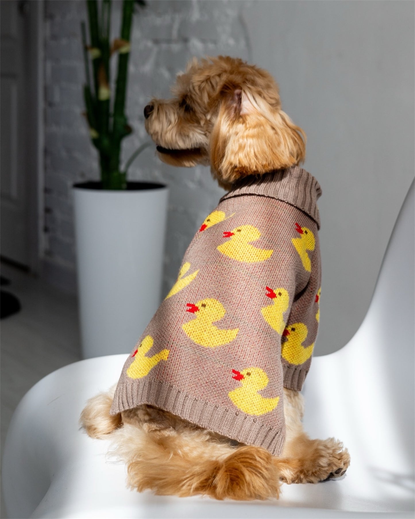 Duckling Warmth – soft, snug, and absolutely adorable
