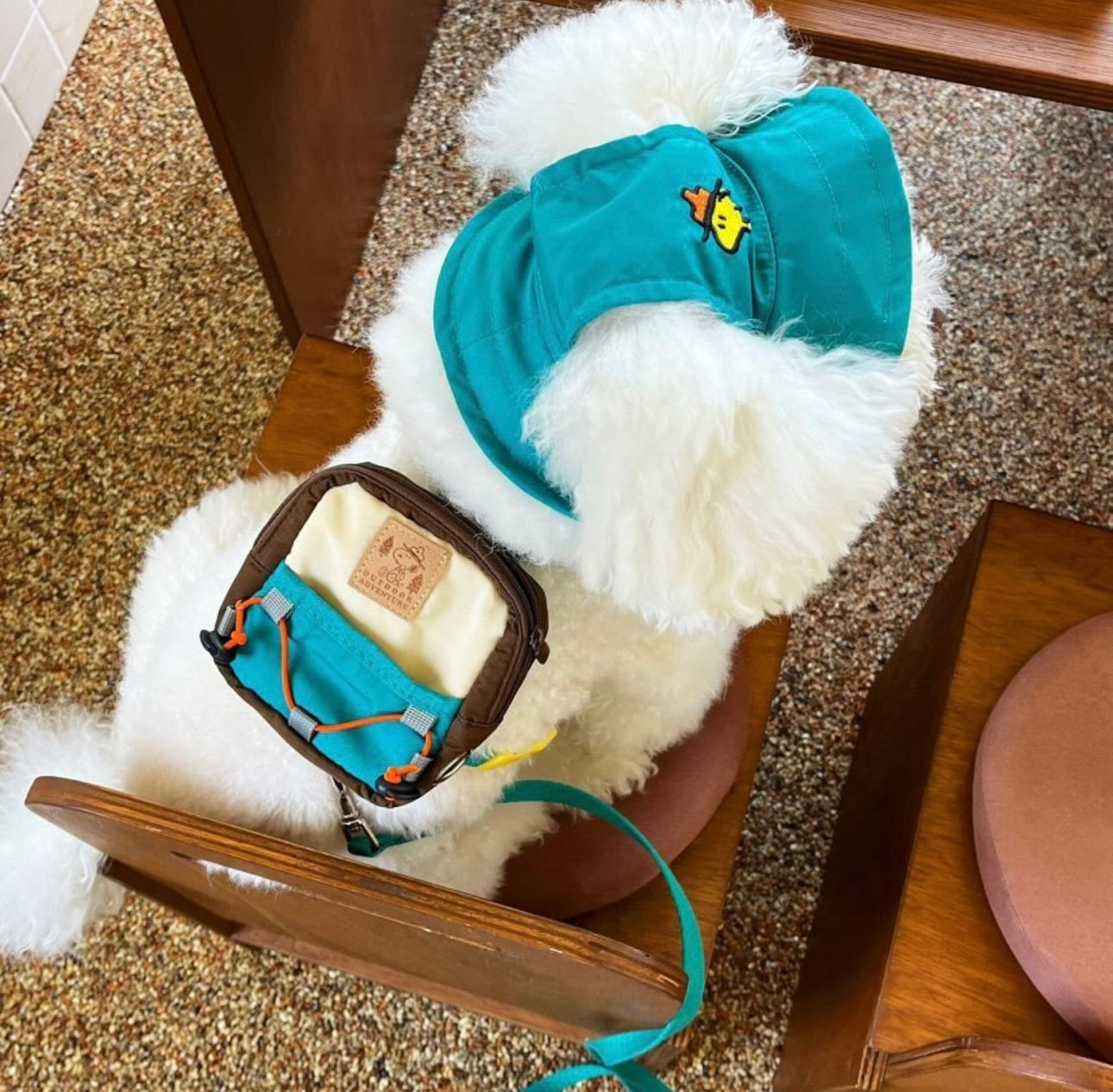 Set for a comfortable walk