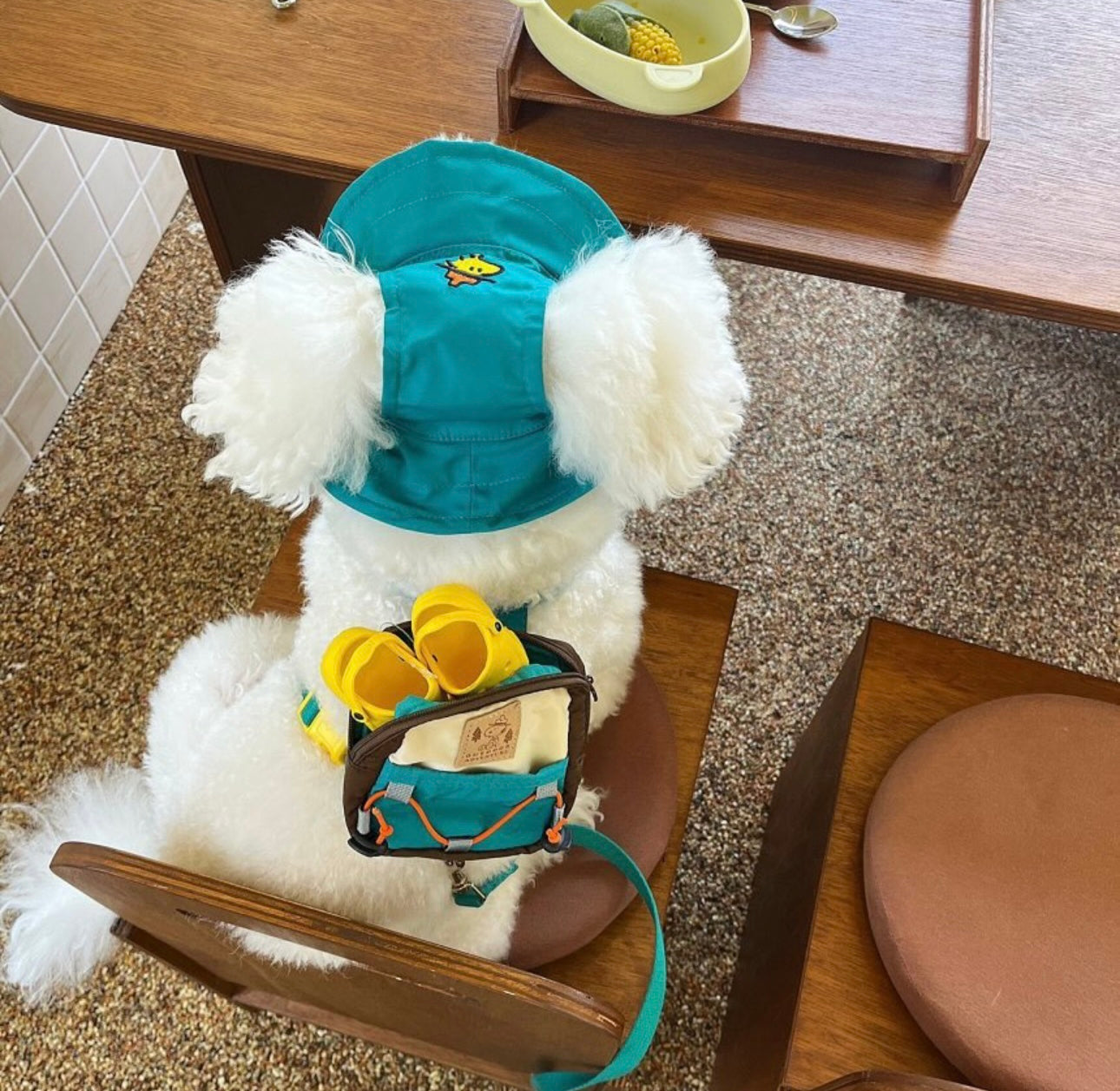 Set for a comfortable walk