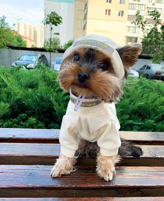 Trendy Dog Hoodie & Hat Set – Stylish Comfort for Your Pup!