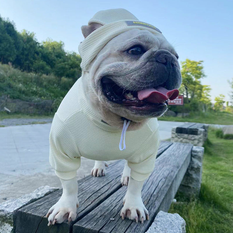 Trendy Dog Hoodie & Hat Set – Stylish Comfort for Your Pup!