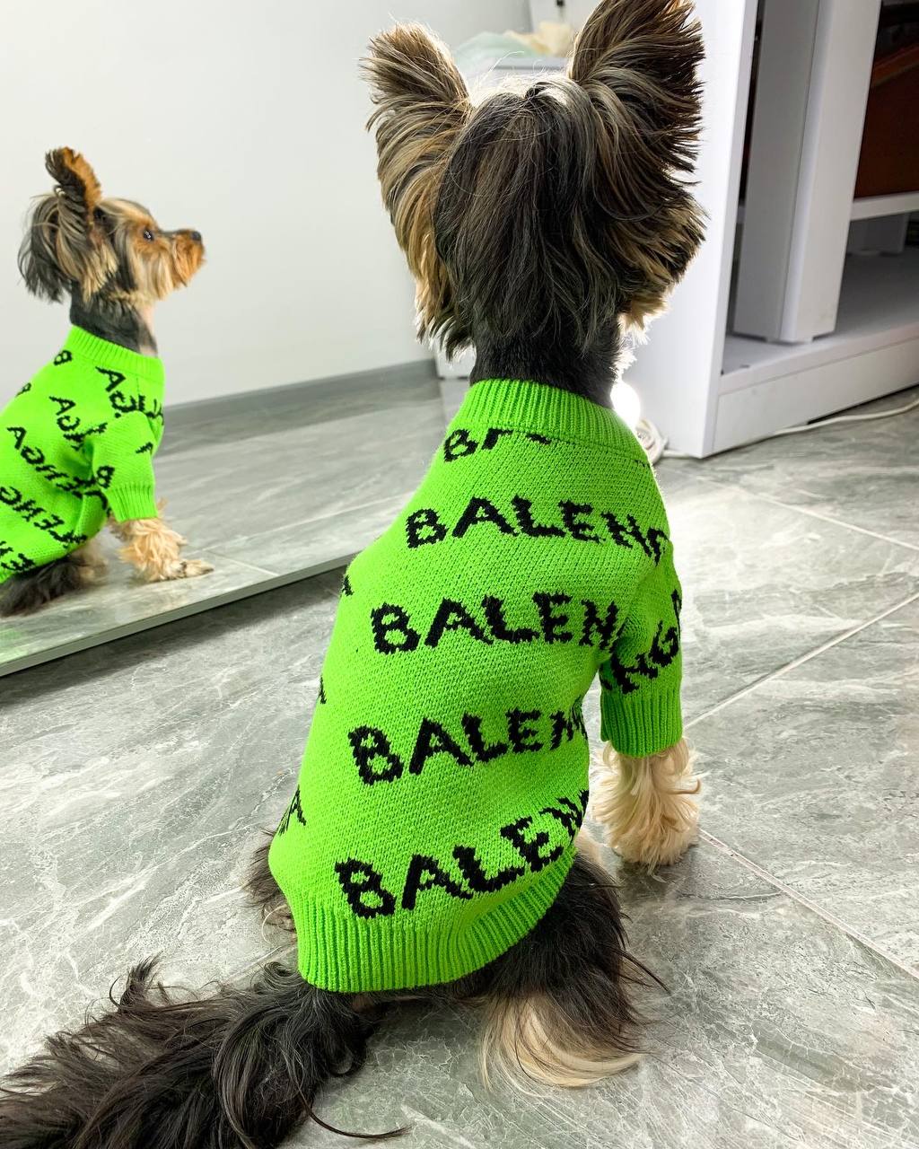 Bright and trendy sweater