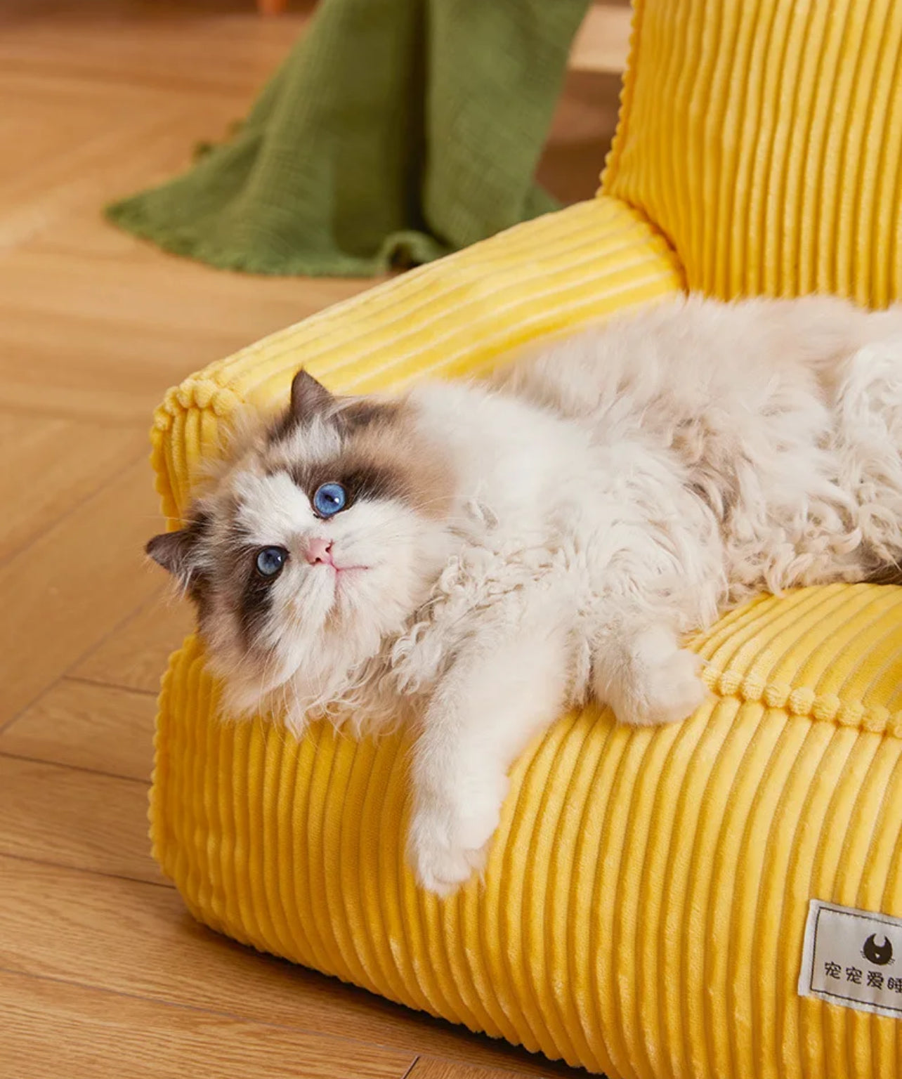 Chair for cats and dogs