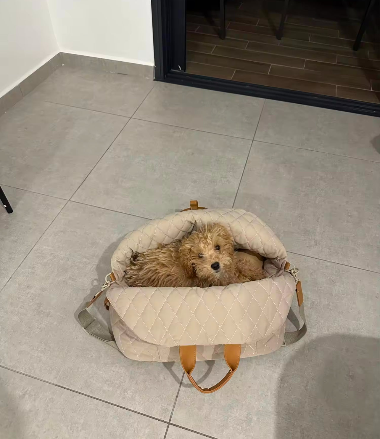 Carrying bag + car seat