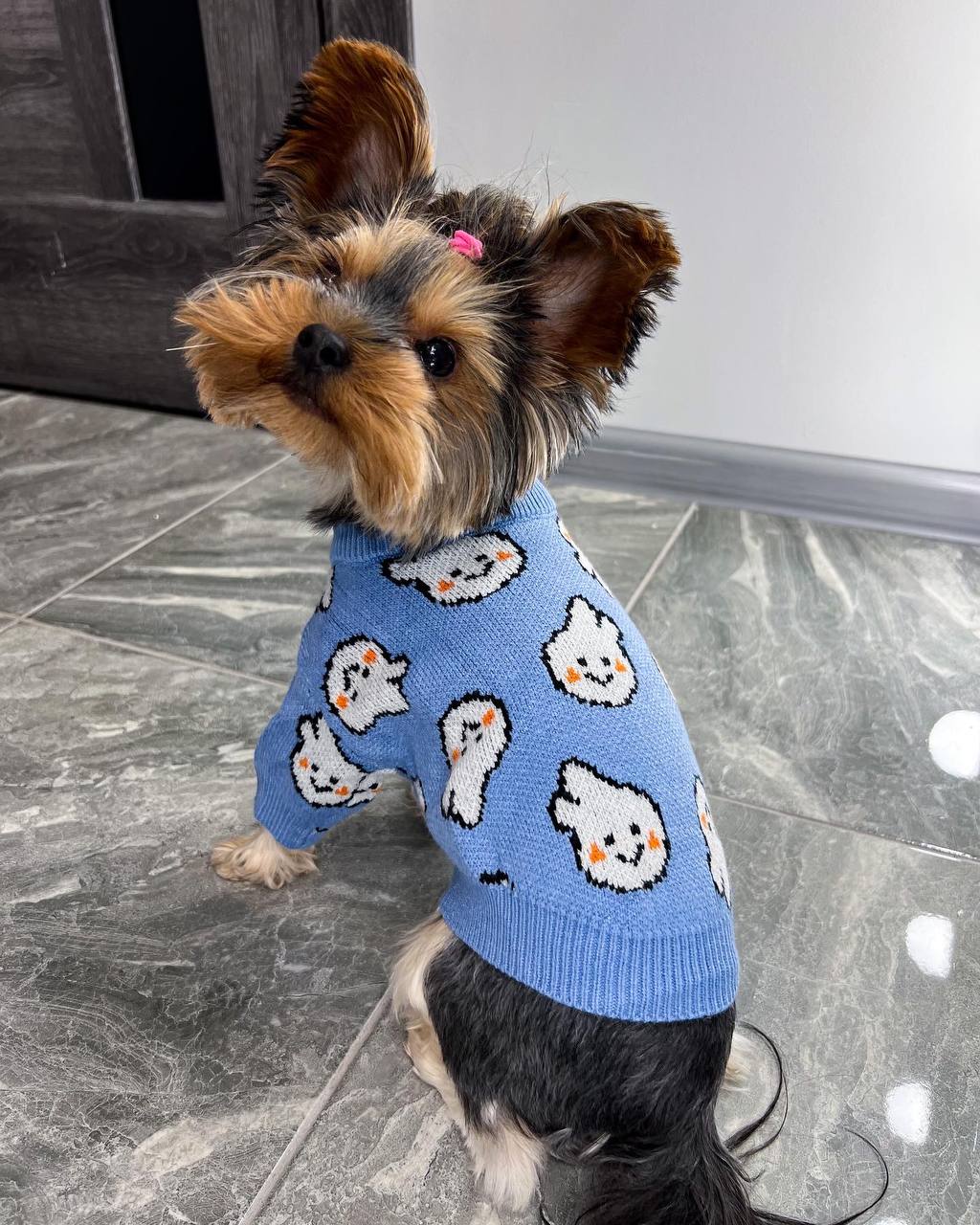 Sweater with bunnies