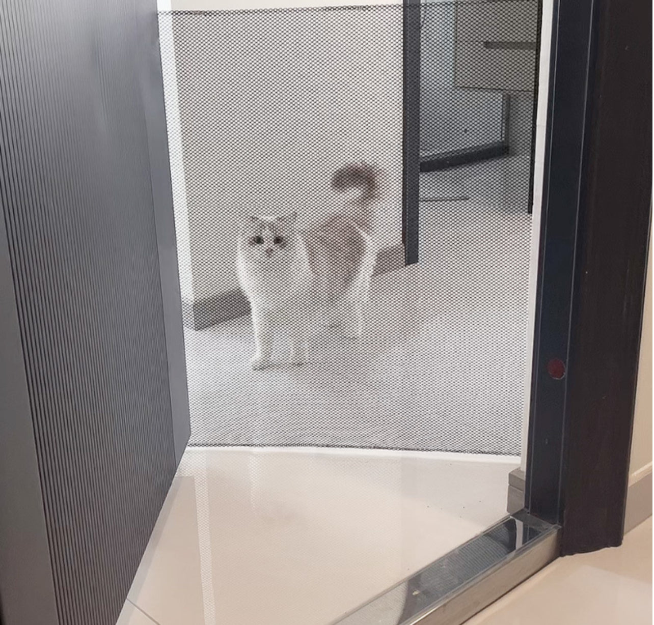 Retractable Pet Gate