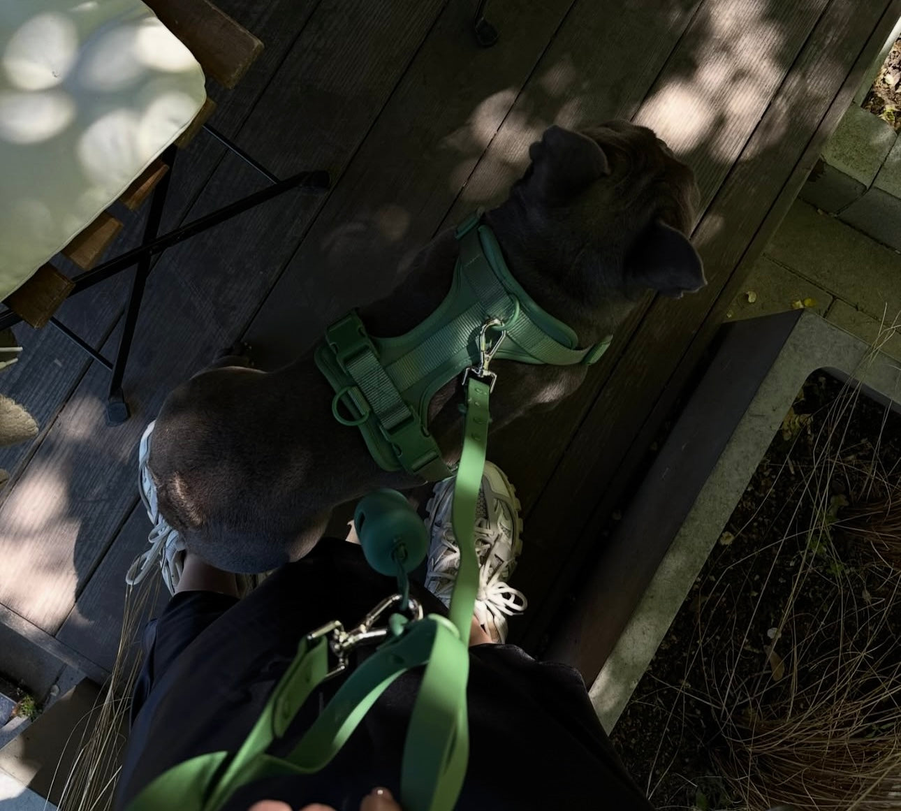 Dogsoops™ Premium Comfort Harness Set 🦮