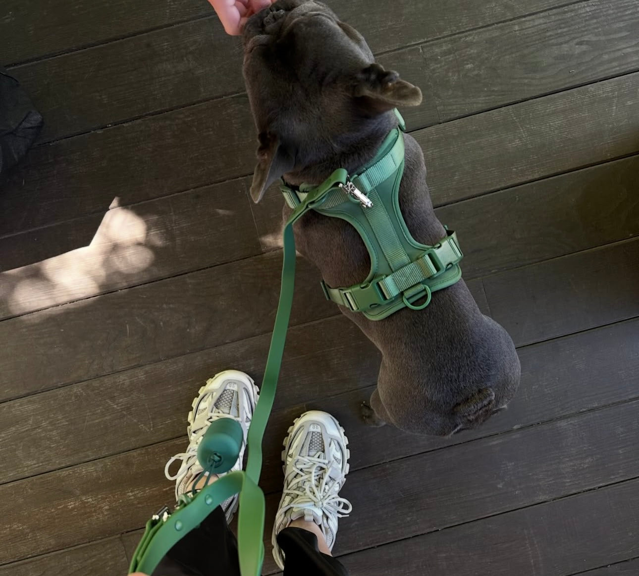 Dogsoops™ Premium Comfort Harness Set 🦮