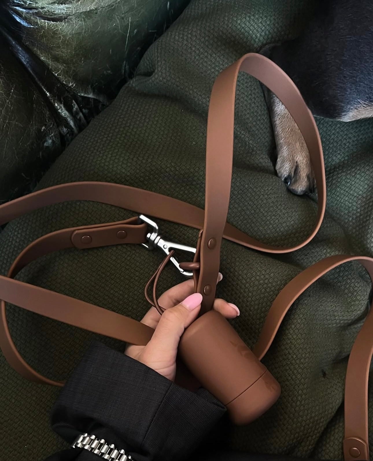 Dogsoops™ Premium Comfort Harness Set 🦮