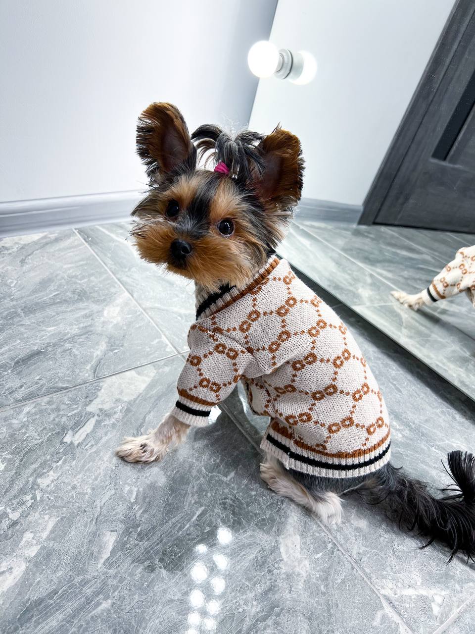 Trendy cardigan for pet