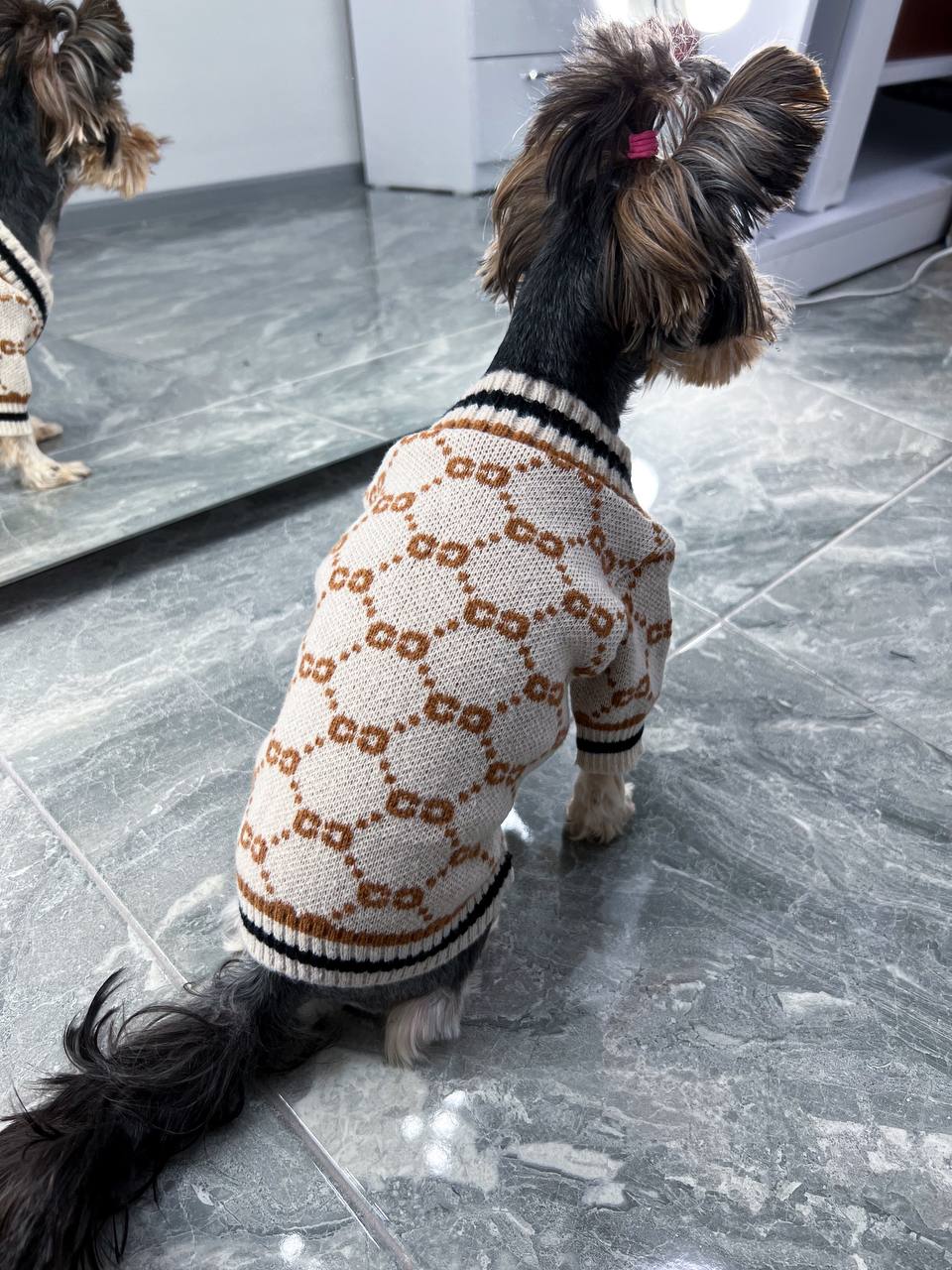 Trendy cardigan for pet