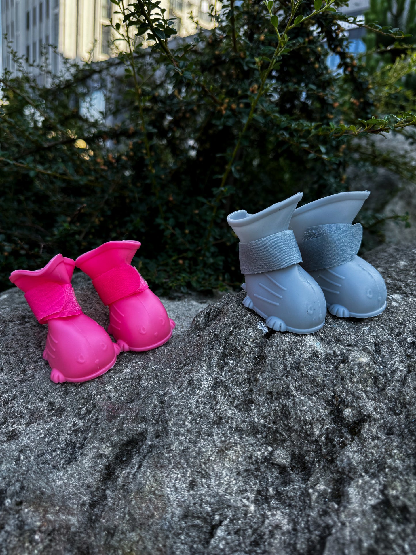 Boots for your pet 🐶