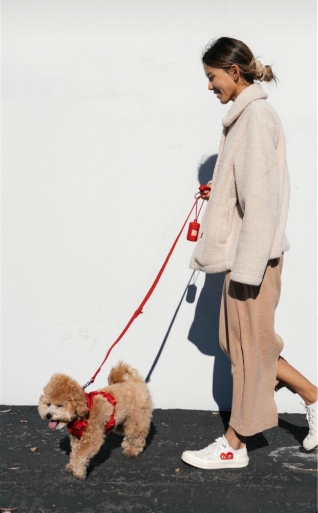 Dogsoops™ Premium Comfort Harness Set 🦮